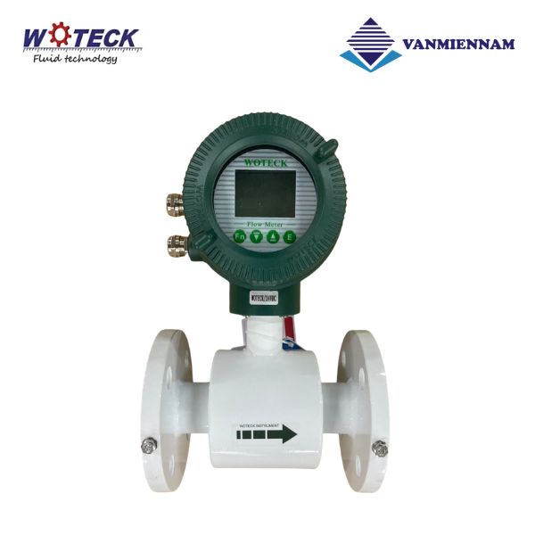 Đồng hồ nước điện tử Woteck DN50