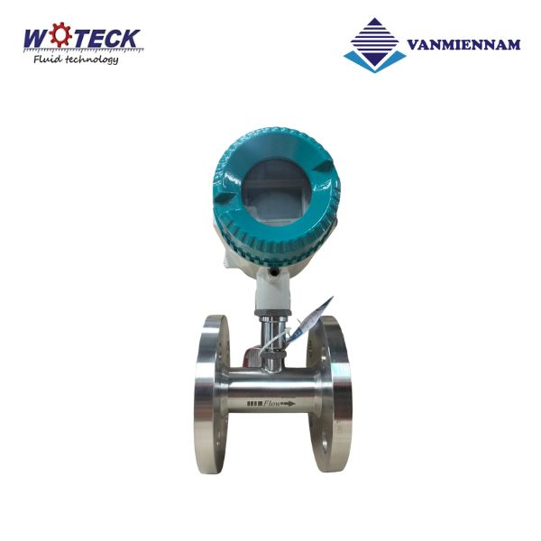 Đồng hồ tuabin điện từ Woteck DN32