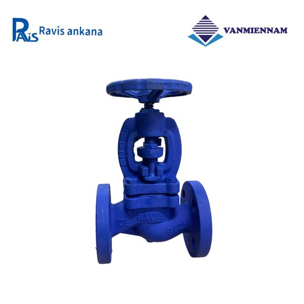 Van cầu hơi gang Ravis DN15