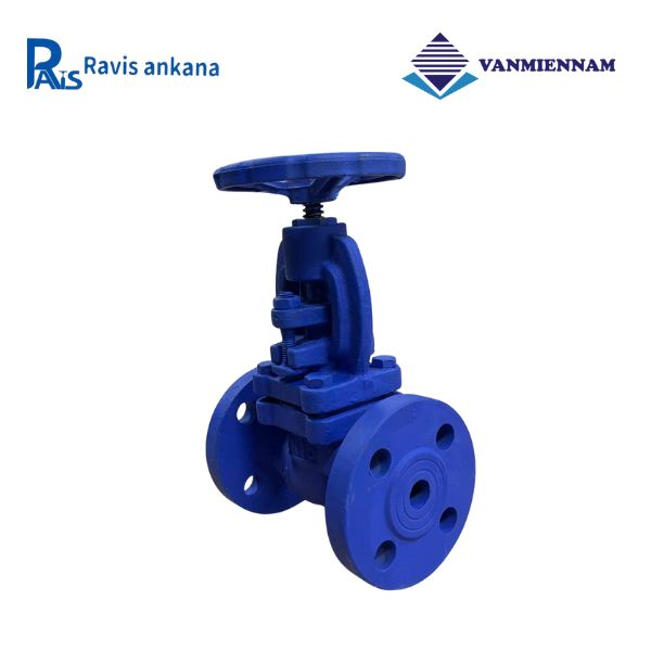 Van cầu hơi gang Ravis DN15