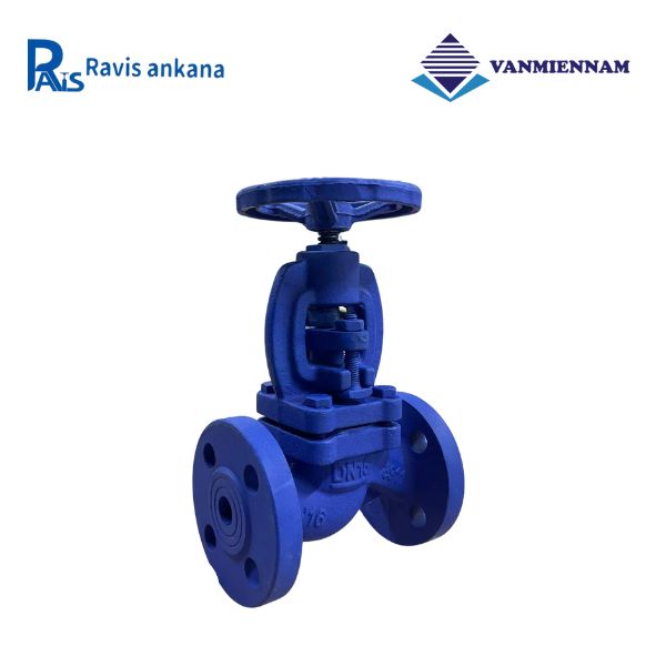 Van cầu hơi gang Ravis DN15