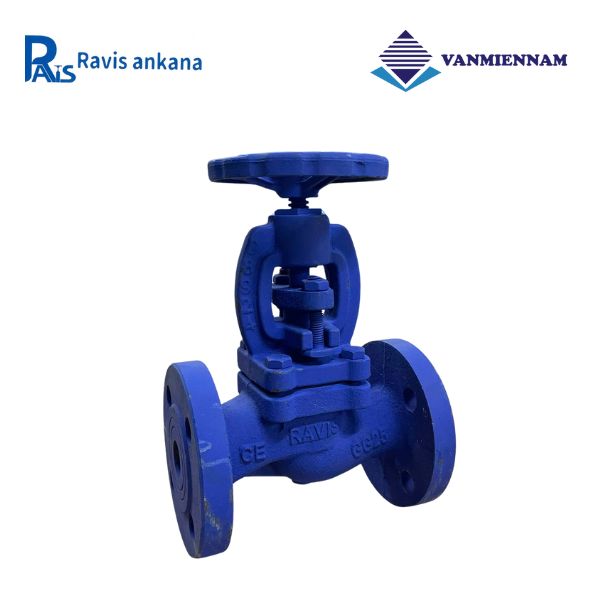Van cầu hơi gang Ravis DN20
