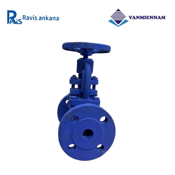 Van cầu hơi gang Ravis DN20