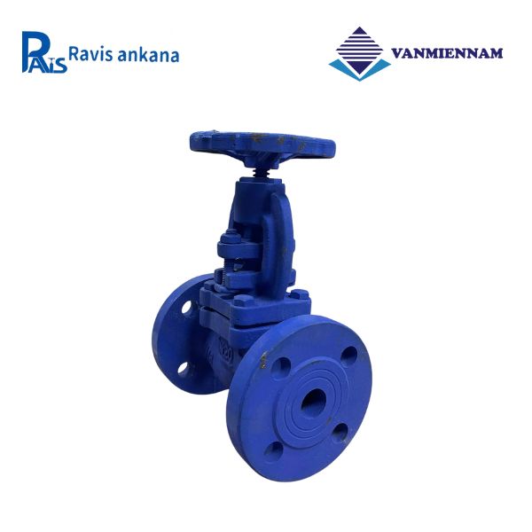 Van cầu hơi gang Ravis DN20