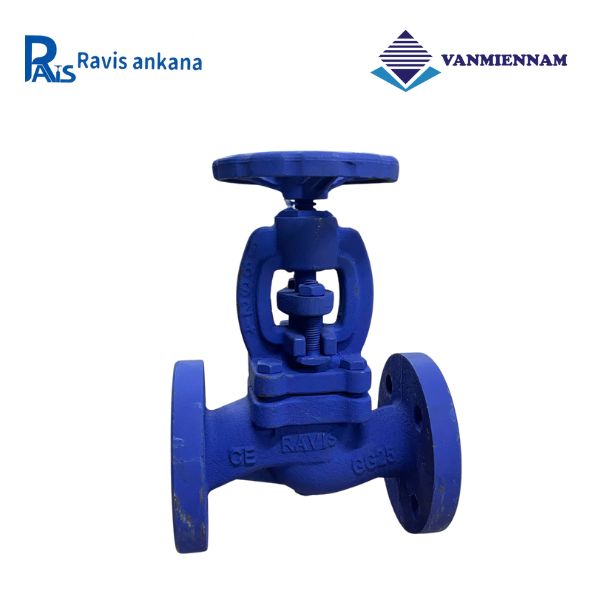 Van cầu hơi gang Ravis DN20