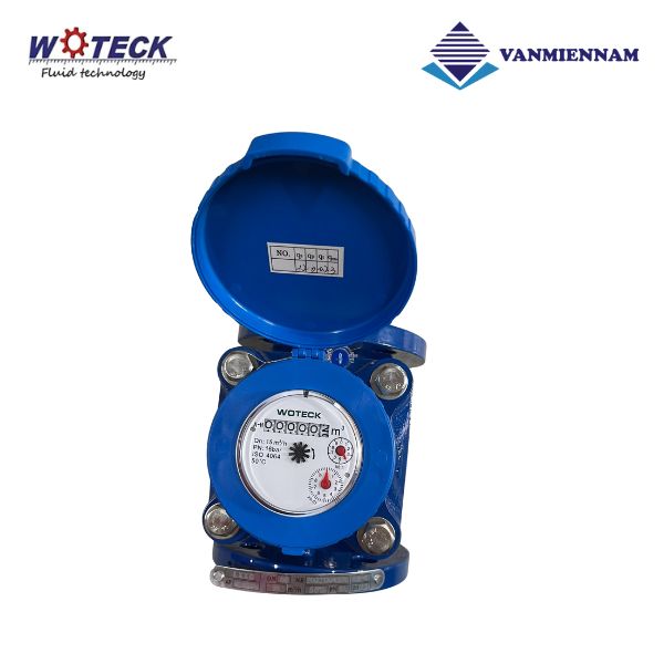 Đồng hồ nước dạng cơ Woteck DN50