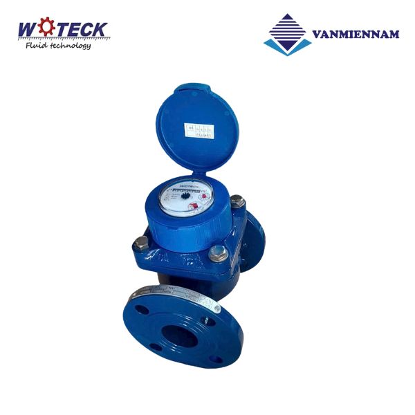 Đồng hồ nước dạng cơ Woteck DN50