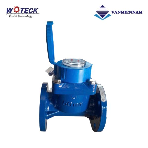 Đồng hồ nước dạng cơ Woteck DN50