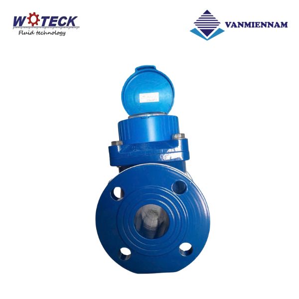 Đồng hồ nước dạng cơ Woteck DN50