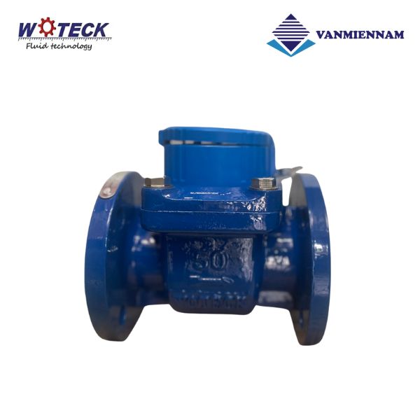 Đồng hồ nước dạng cơ Woteck DN50