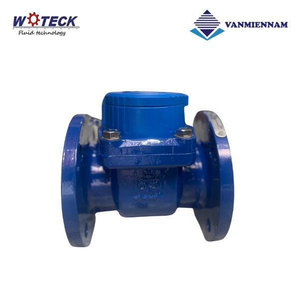 Đồng hồ nước dạng cơ Woteck DN65