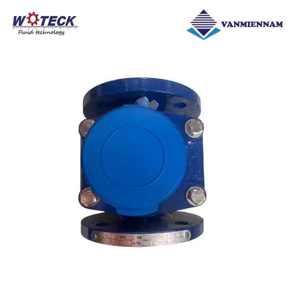 Đồng hồ nước dạng cơ Woteck DN65