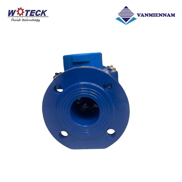 Đồng hồ nước dạng cơ Woteck DN65