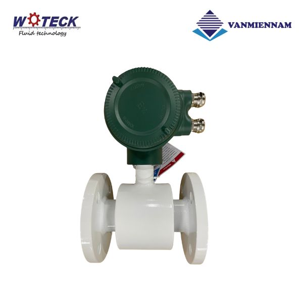 Đồng hồ nước điện tử Woteck DN50