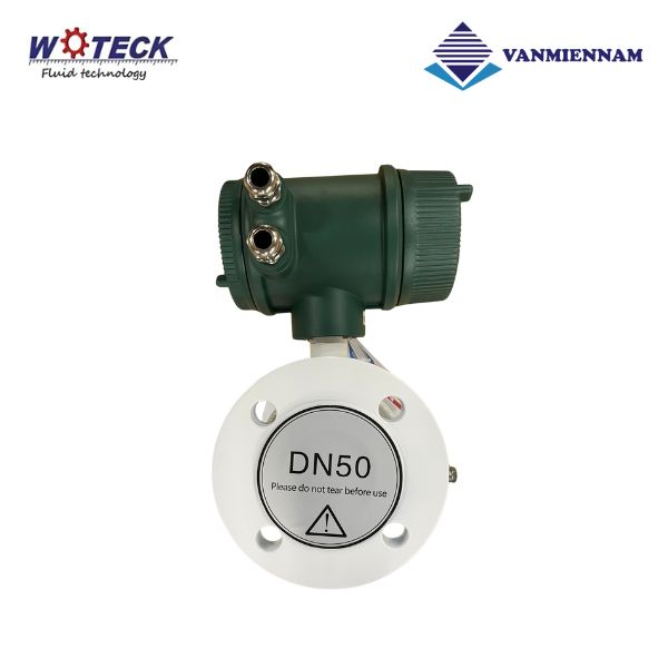 Đồng hồ nước điện tử Woteck DN50