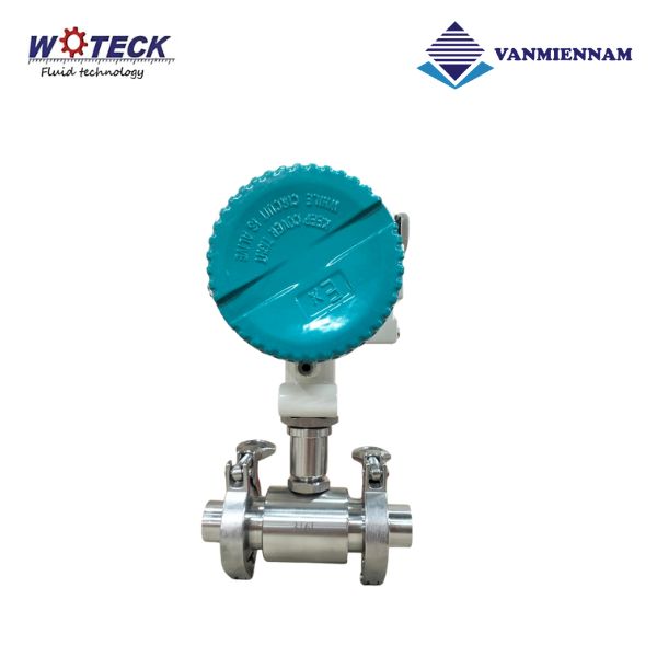 Đồng hồ tuabin điện từ Woteck DN25