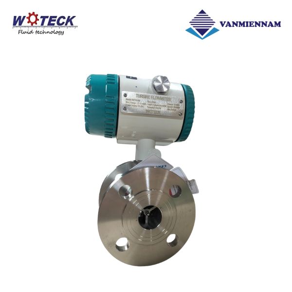 Đồng hồ tuabin điện từ Woteck DN32