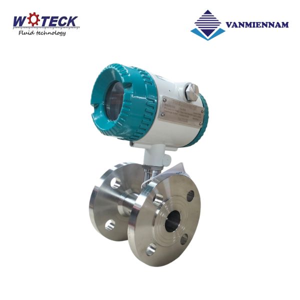 Đồng hồ tuabin điện từ Woteck DN32