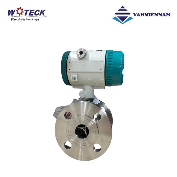 Đồng hồ tuabin điện từ Woteck DN32