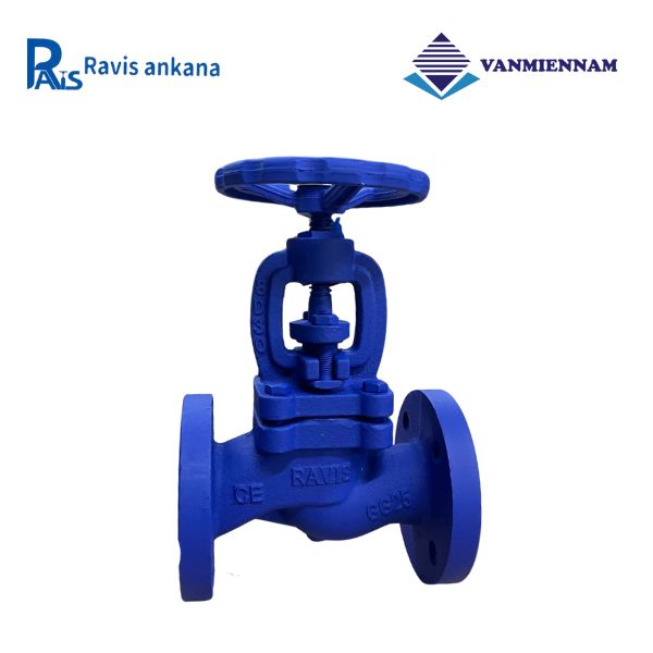 Van cầu hơi gang Ravis DN25