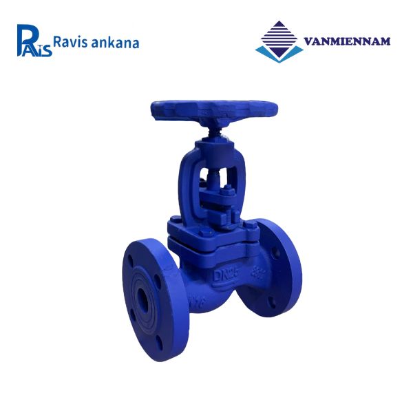 Van cầu hơi gang Ravis DN25