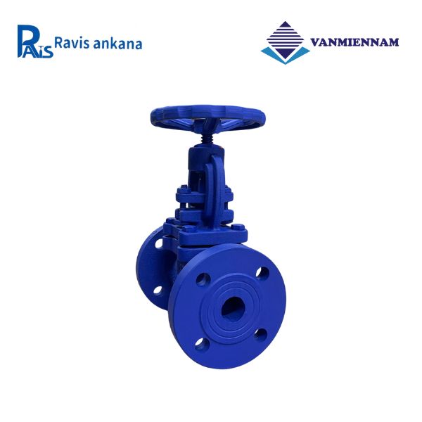 Van cầu hơi gang Ravis DN25