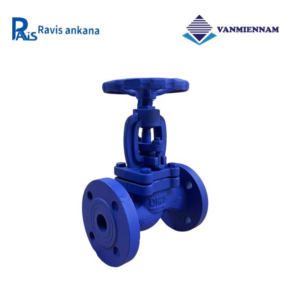 Van cầu hơi gang Ravis DN25