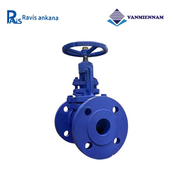 Van cầu hơi gang Ravis DN40