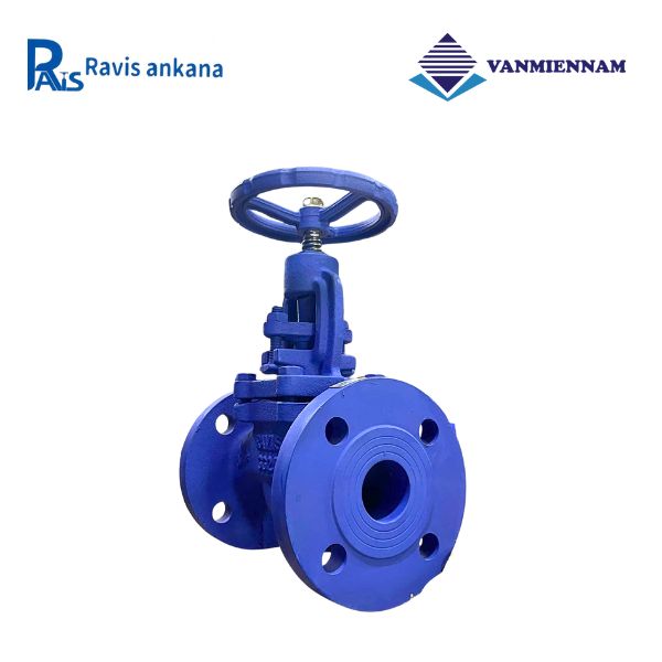 Van cầu hơi gang Ravis DN40