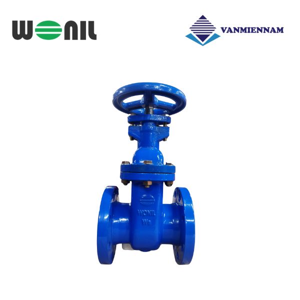 Van cổng gang ty chìm Wonil DN100