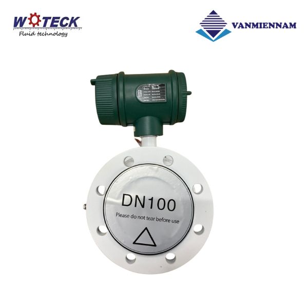 Đồng hồ nước điện tử Woteck DN100