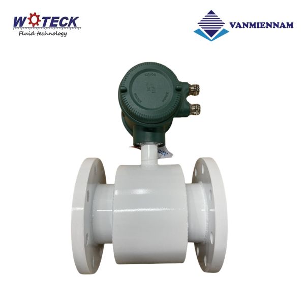 Đồng hồ nước điện tử Woteck DN100