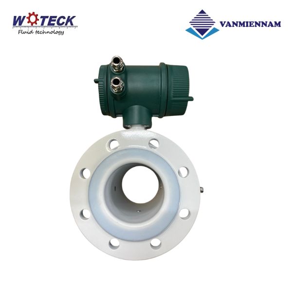 Đồng hồ nước điện tử Woteck DN100