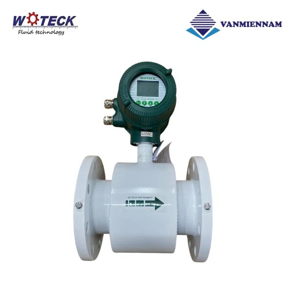 Đồng hồ nước điện tử Woteck DN125