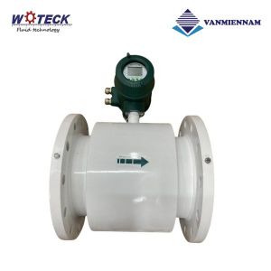 Đồng hồ nước điện tử Woteck DN450