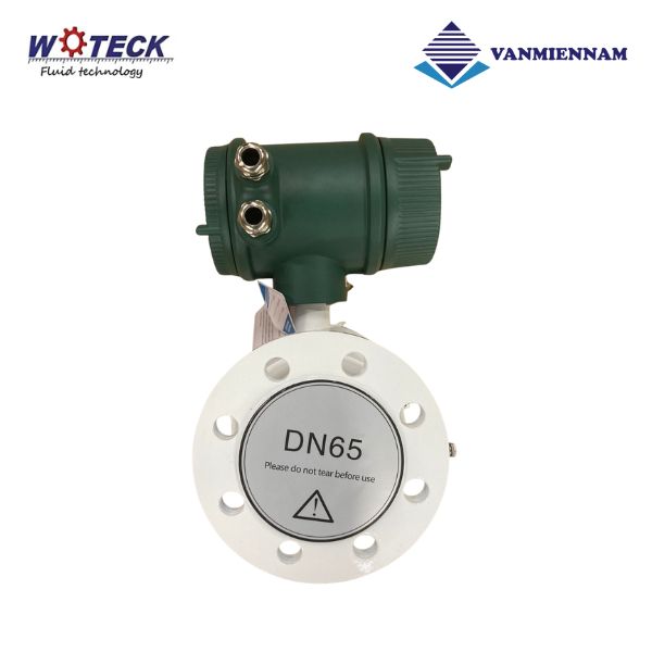 Đồng hồ nước điện tử Woteck DN65