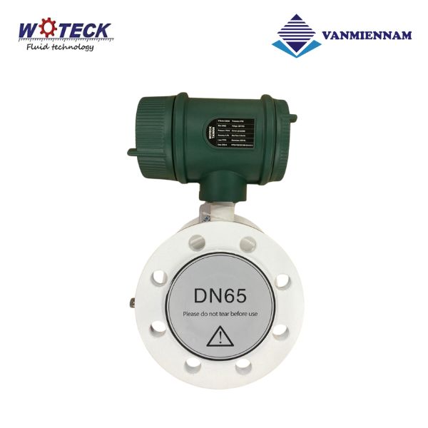Đồng hồ nước điện tử Woteck DN65