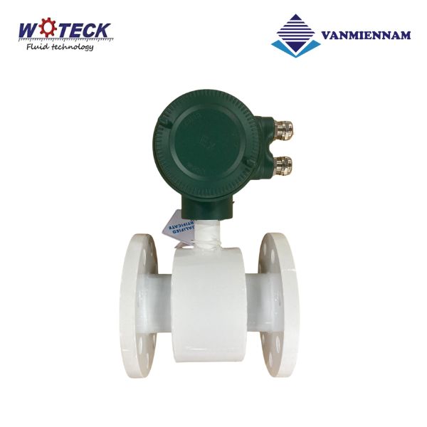 Đồng hồ nước điện tử Woteck DN65