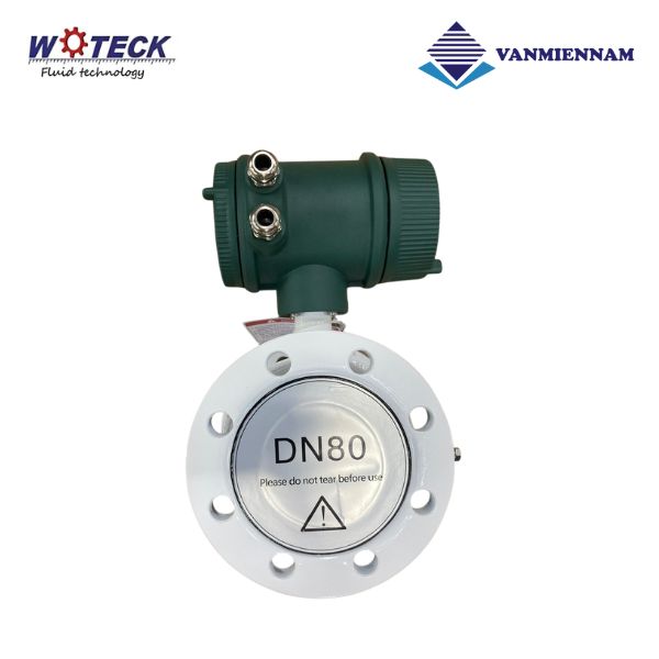 Đồng hồ nước điện tử Woteck DN80