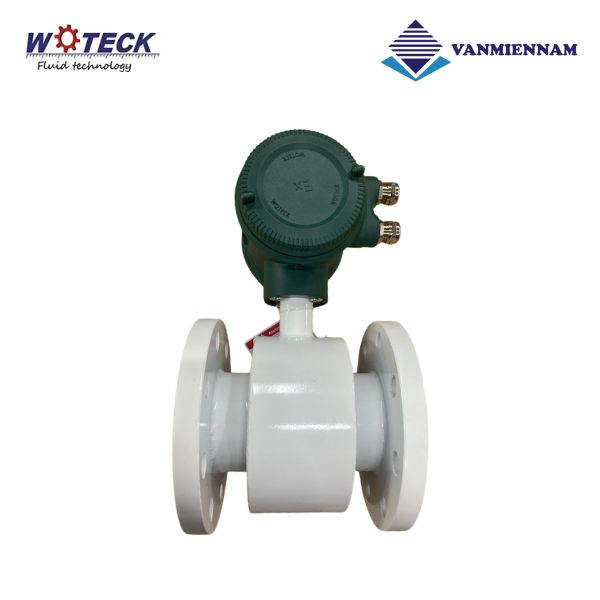 Đồng hồ nước điện tử Woteck DN80