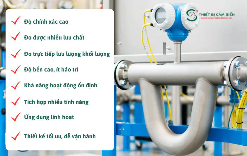 Coriolis Mass Flow Meter