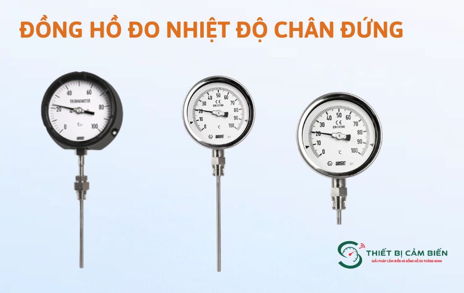 dong ho do nhiet do chan dung