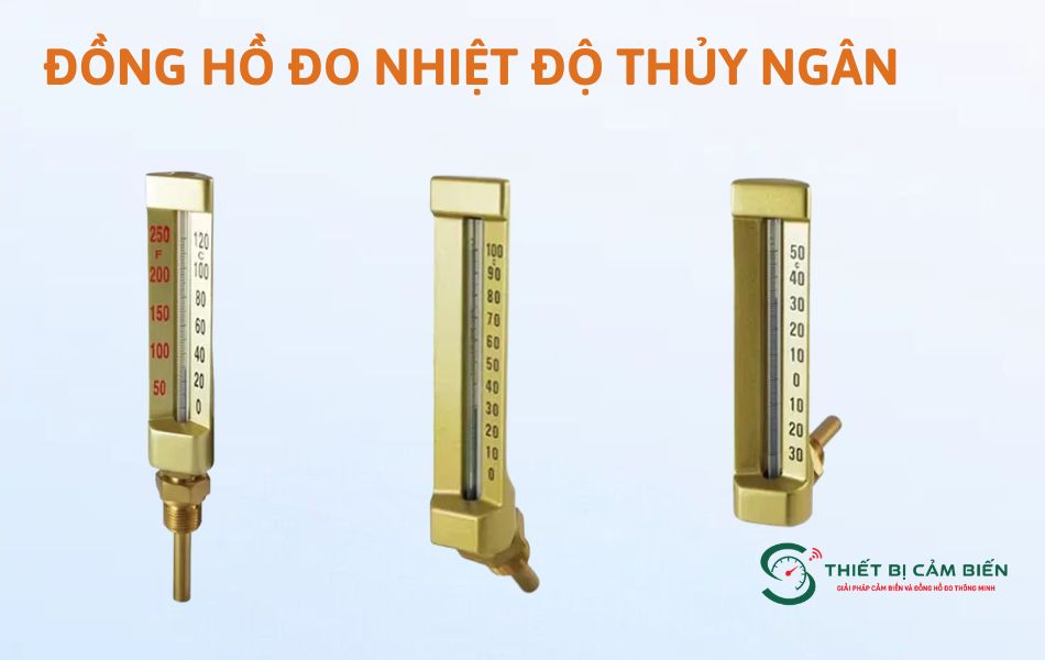 dong ho do nhiet do thuy ngan