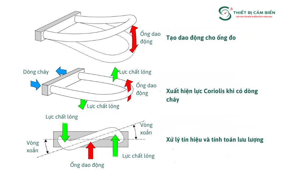 dong ho luu luong coriolis