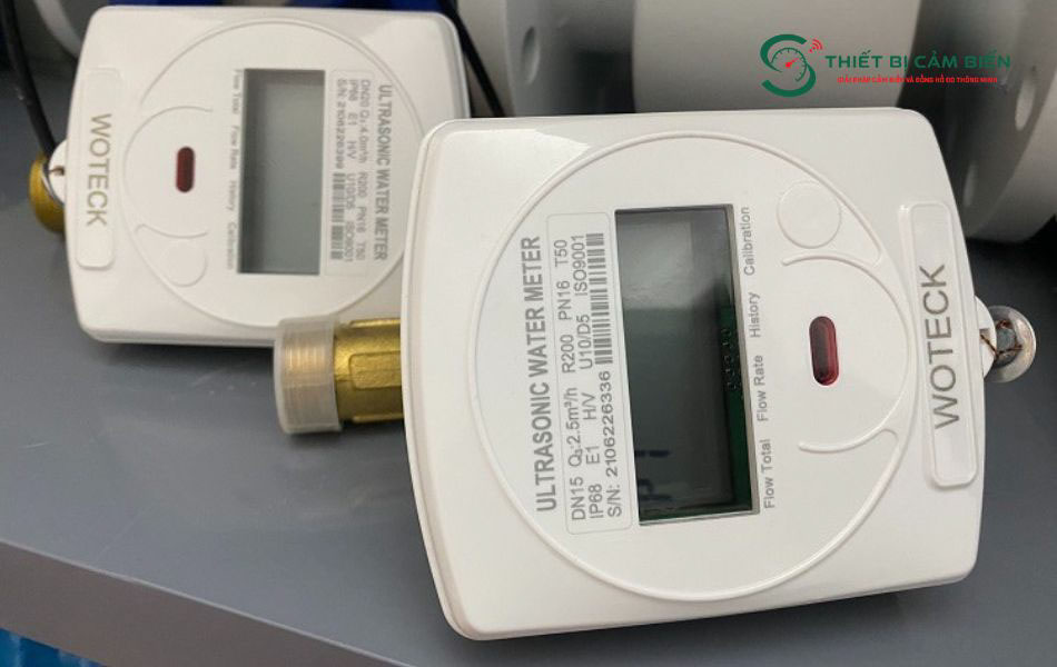 Ultrasonic Flow Meter