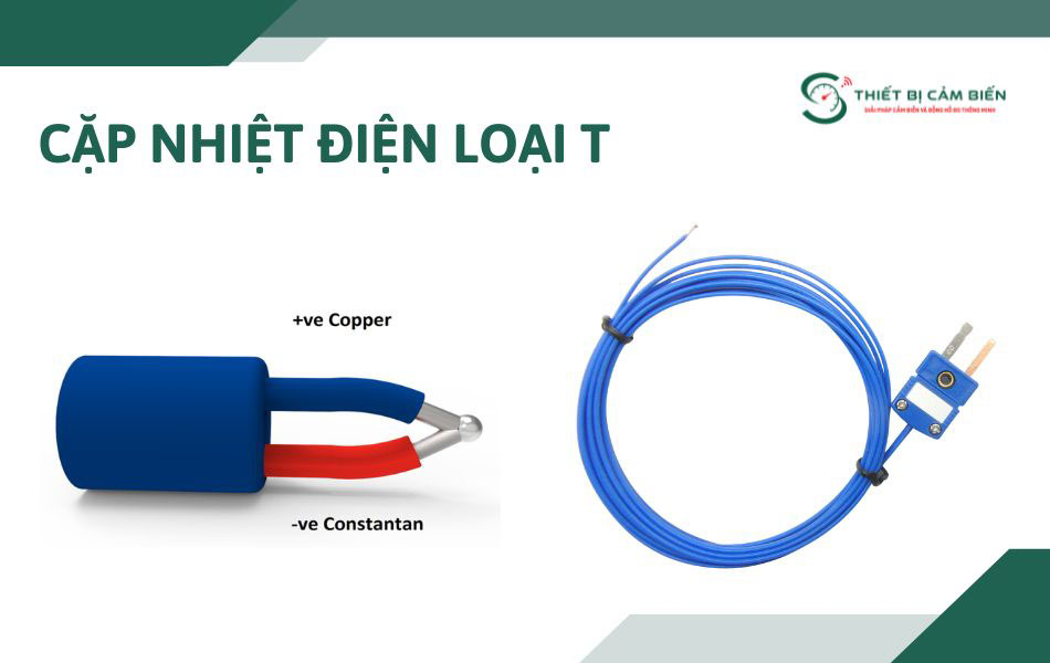 cap nhiet dien loai t