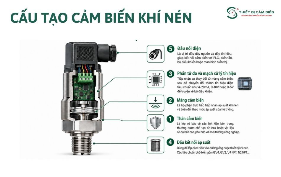 cau tao cam bien ap suat khi nen