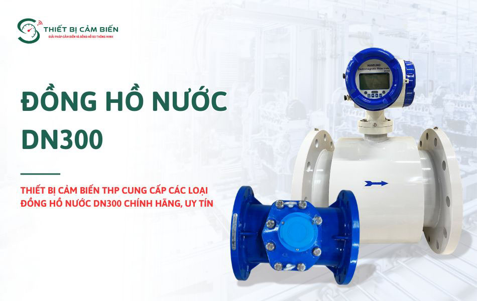 dong ho nuoc dn300