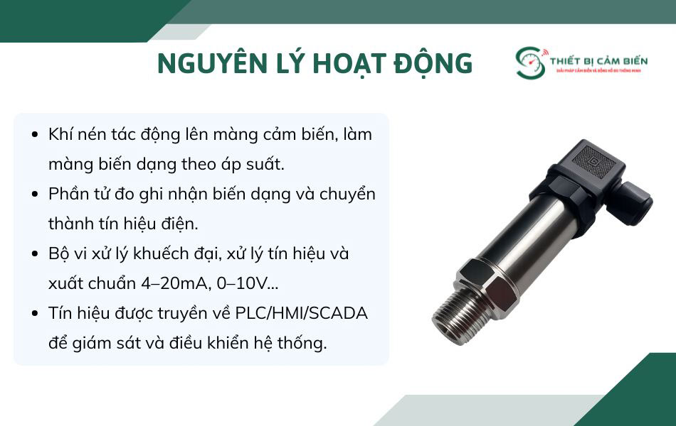 nguyen ly hoat dong cam bien ap suat khi nen