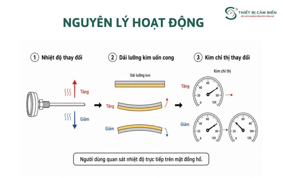 nguyen ly hoat dong nhiet ke luong kim
